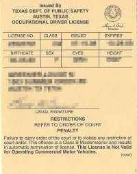 texas dps audit number on drivers license